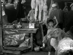 Fotografia di Roberto Galati, su concessione. Fotografia di Roberto Galati, su concessione.