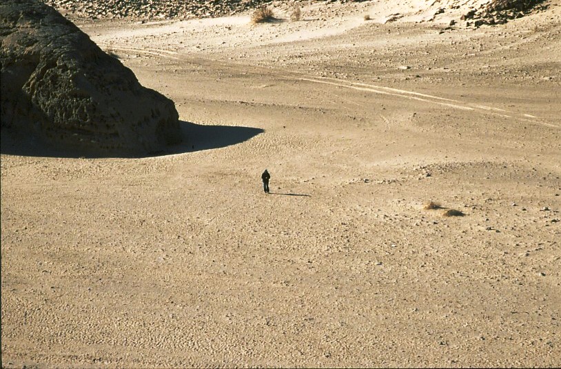 Penisola del Sinai. File dell'autore יגאל פארי. Wikimedia Commons.