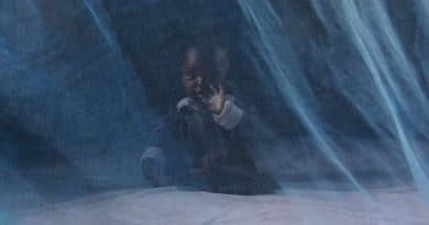 Malaria, c’è un vaccino. Già testato su oltre 400 bambini africani Malaria, c’è un vaccino. Già testato su oltre 400 bambini africani