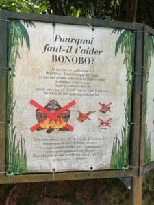Riserva dei Bonobo a Kinshasa: l'obiettivo è anche quello di scoraggiare il consumo di carne di bonobo da parte della popolazione locale