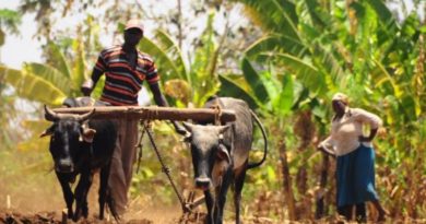 Africa, strategie contro la pericolosa alleanza Monsanto-Bayer Africa, strategie contro la pericolosa alleanza Monsanto-Bayer