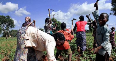 Nigeria, tra conflitti, povertà e il più alto numero di migranti Nigeria, tra conflitti, povertà e il più alto numero di migranti