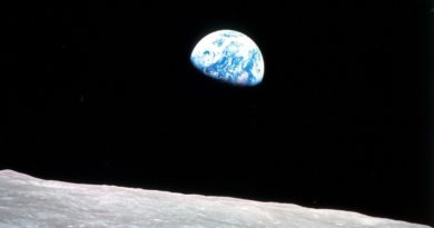 La natura non ha bisogno dell’uomo. L’uomo sì. Ma la distrugge La natura non ha bisogno dell’uomo. L’uomo sì. Ma la distrugge