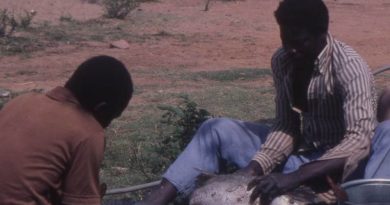 Nigeria, con la pesca in crisi a rischio la sicurezza del Paese Nigeria, con la pesca in crisi a rischio la sicurezza del Paese