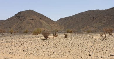 Bisogno d’acqua. Il cambiamento climatico e i danni nel Sahel Bisogno d’acqua. Il cambiamento climatico e i danni nel Sahel