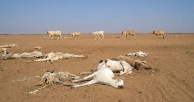 Cambiamento climatico: prevenzione, la chiave per affrontarlo Cambiamento climatico: prevenzione, la chiave per affrontarlo