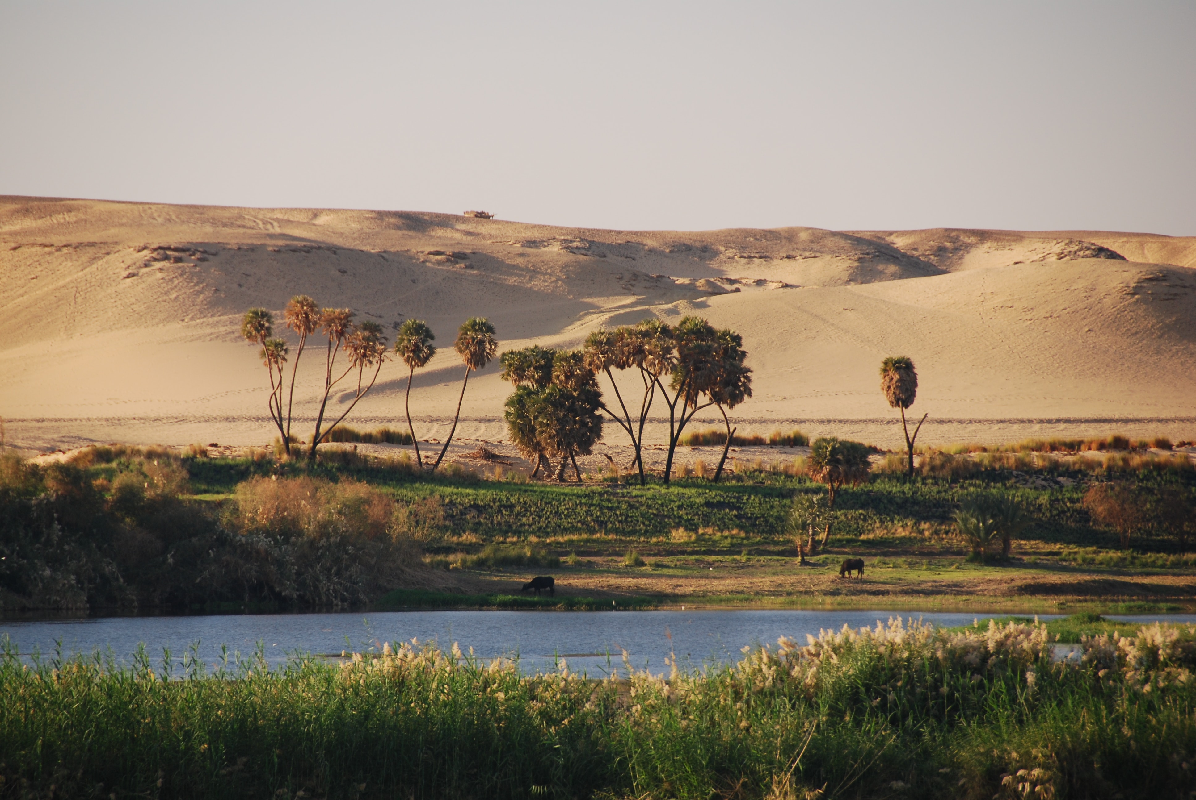 Река оазис. Нильская Долина древнего Египта.