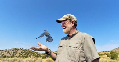 Ecoturismo, la pandemia spinge a bracconaggio e tour virtuali Ecoturismo, la pandemia spinge a bracconaggio e tour virtuali