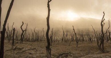 Il pianeta Terra è a pezzi, all’uomo la parte di carnefice e vittima Il pianeta Terra è a pezzi, all’uomo la parte di carnefice e vittima