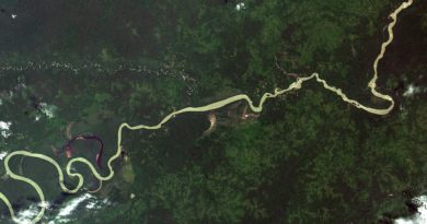 Colombia, da campione di biodiversità a territorio sotto assedio Colombia, da campione di biodiversità a territorio sotto assedio