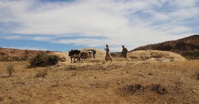 Terra e diritto di proprietà in Africa, Il caso di Eritrea e Ghana Terra e diritto di proprietà in Africa, Il caso di Eritrea e Ghana