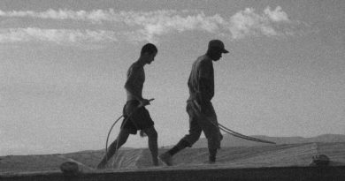L’Europa che alimenta le disuguaglianze e sfrutta i migranti L’Europa che alimenta le disuguaglianze e sfrutta i migranti