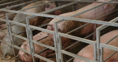Covid-19, cambiamento climatico e duplice rottura metabolica