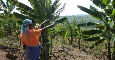 Uganda, ecofemministe in lotta contro l’industria petrolifera Uganda, ecofemministe in lotta contro l’industria petrolifera