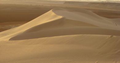 Ambiente: estrazione della sabbia, grido d’allarme per l’ecosistema