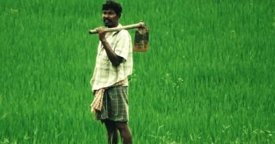 Braccianti indiani in Italia, quando il lavoro è schiavitù e violenza