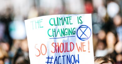Clima: quel disperato bisogno di voci globali, l’assemblea popolare Clima: quel disperato bisogno di voci globali, l’assemblea popolare