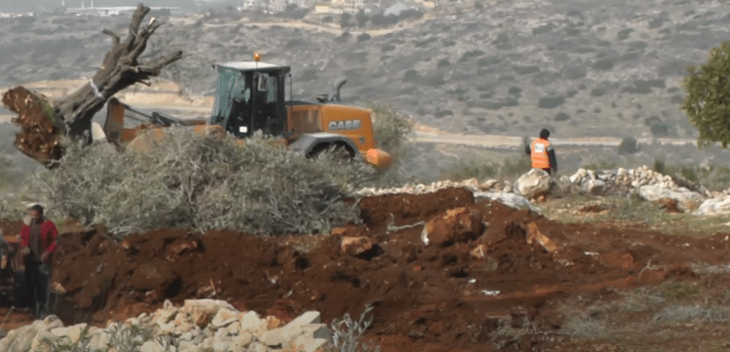 Bulldozer in azione su terreni di palestinesi in Cisgiordania