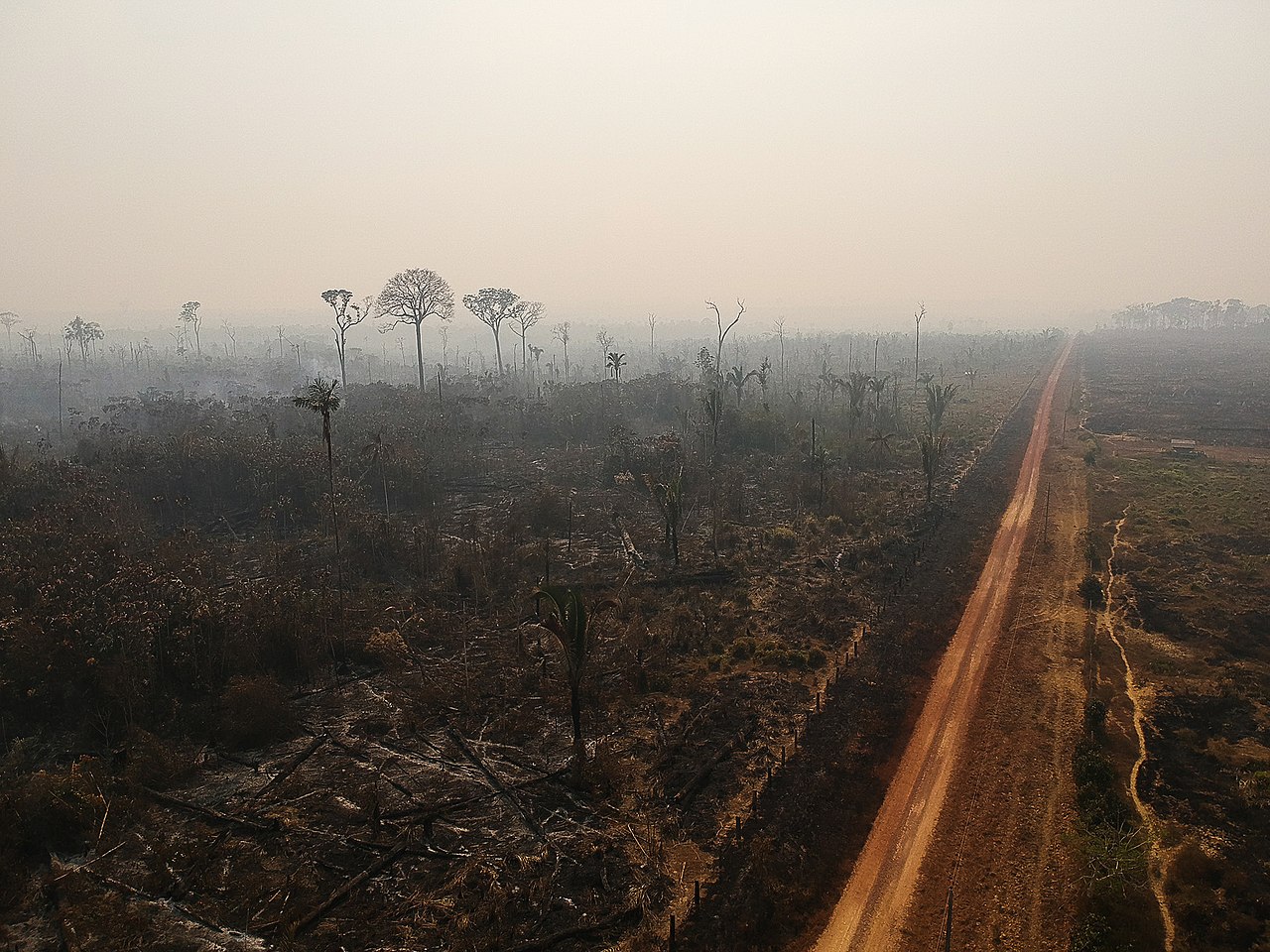 Porzione di foresta disboscata e bruciata nel municipio di Apuì, Amazzonia. Foto di Bruno Kelly da Wikimedia Commons in CC