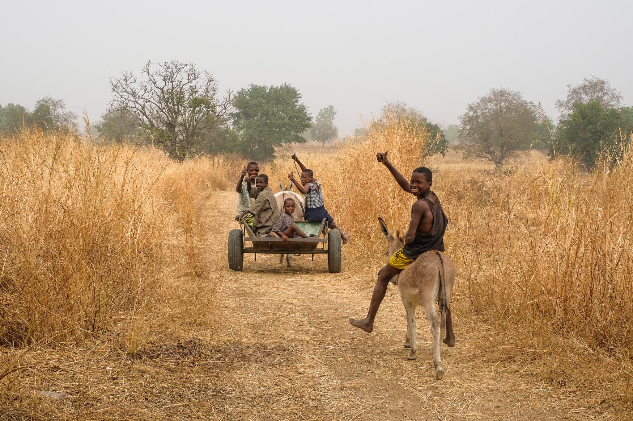 Trasporto agricolo via asino a Gwenia, Kassena Nankana District - Ghana. Immagine dell'utente Flickr Axel Fassio/CIFOR su licenza CC