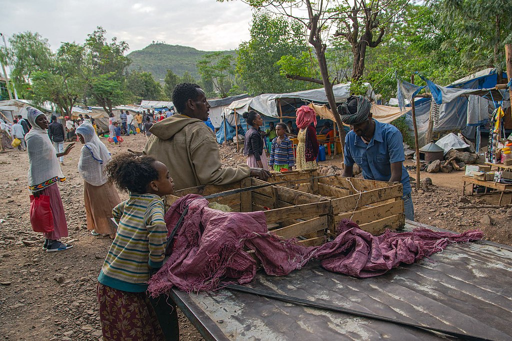 I campi profughi in Tigray sono sovraffollati, e gli arrivi di nuovi gruppi famigliari sono continui. Foto da Wikimedia Commons di Yan Boechat/VOA in licenza CC
