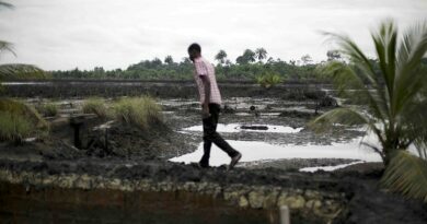 Nigeria, una crisi umanitaria conseguenza dell’industria petrolifera Fuoriuscita di petrolio nell'Ogoniland, in Nigeria. Immagine ripresa da Flickr/Friends of the Earth International in licenza CC
