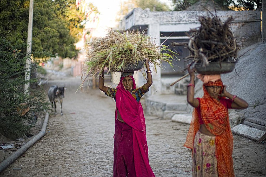 Donne che trasportano fascine in Rajasthan. Foto di Christopher Michel da Wikimedia Commons con licenza CC 2.0